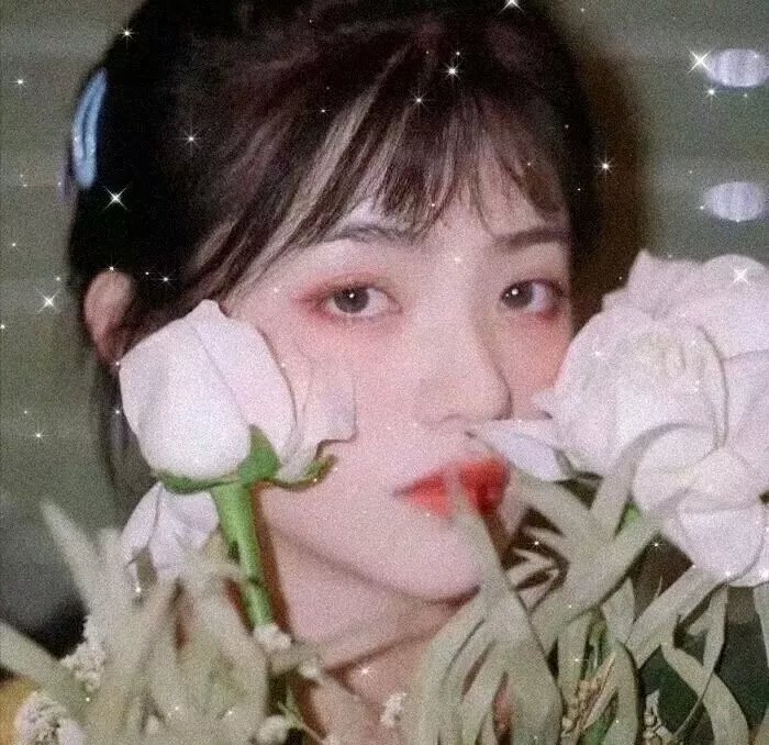 江南·十二场欢聚